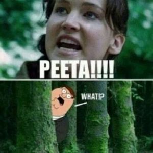 Hunger Games funny