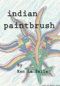 indian paintbrush cover